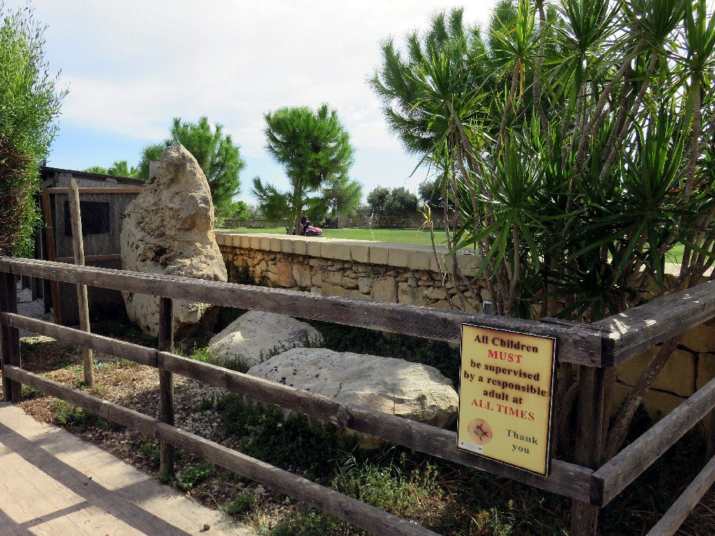 Malta Falconry Centre景点图片