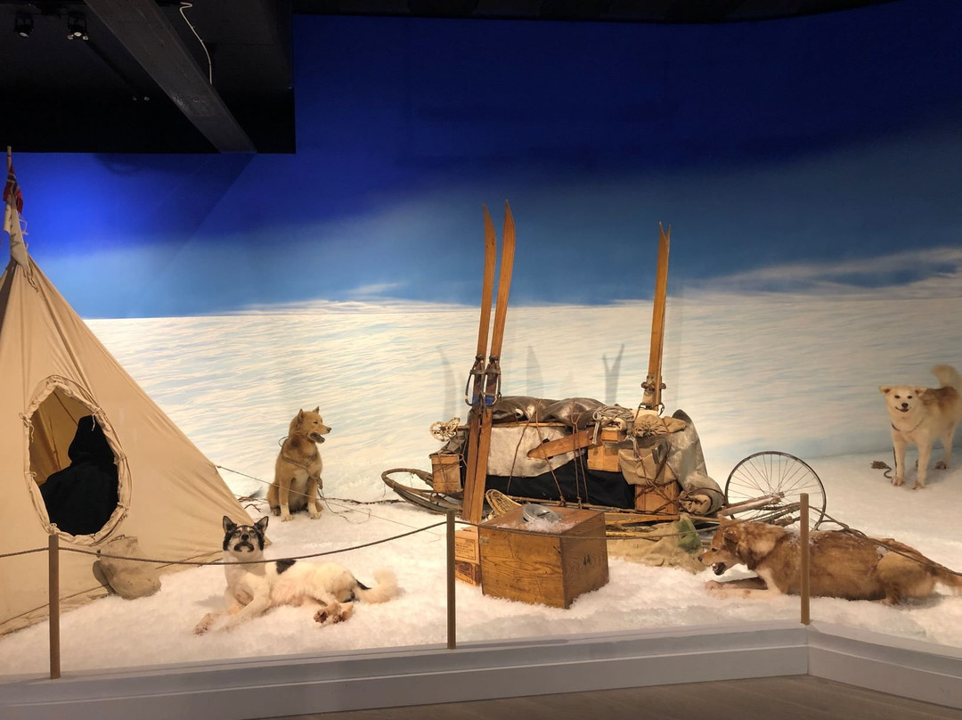 Norsk skieventyr - Norwegian Ski Museum Morgedal景点图片