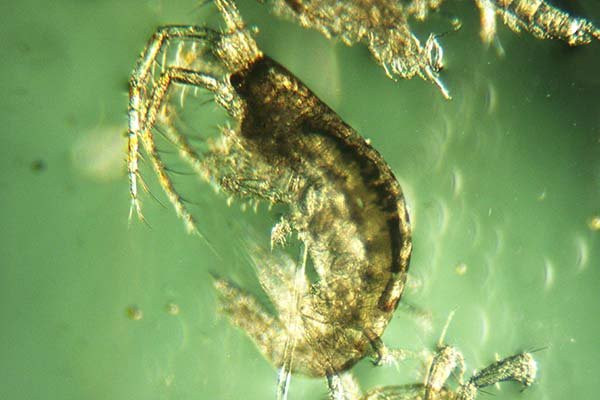 The Black Sea Research Center Bolshoi Utrish-Bolshoy Utrish必去景点