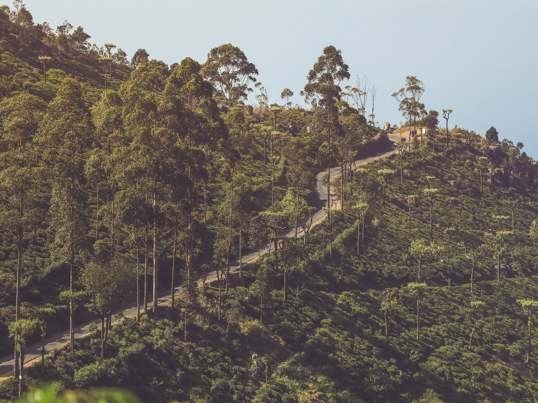 Prabhawa Mountain Day View Point Haputale-哈普特莱必去景点