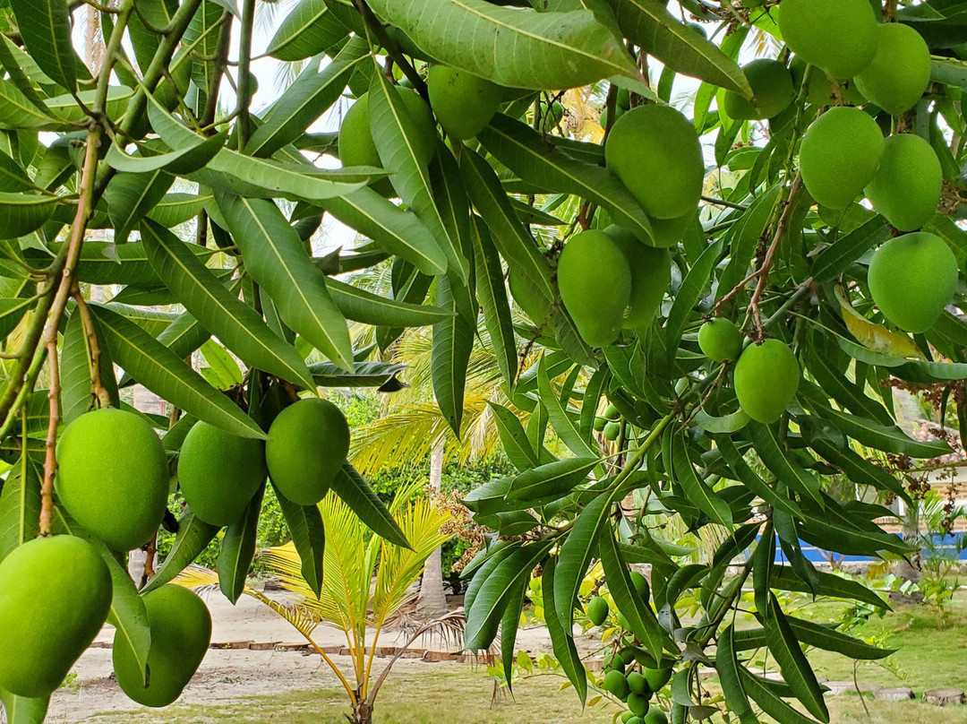 La Mar de Bien主图