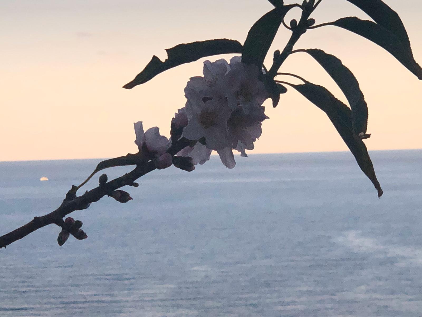 Boutique Hotel Blue Island Villa Caterina-酒店景观