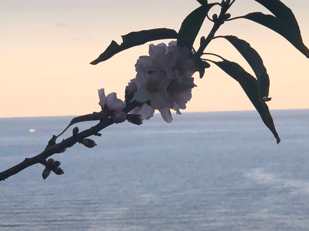 Boutique Hotel Blue Island Villa Caterina主图