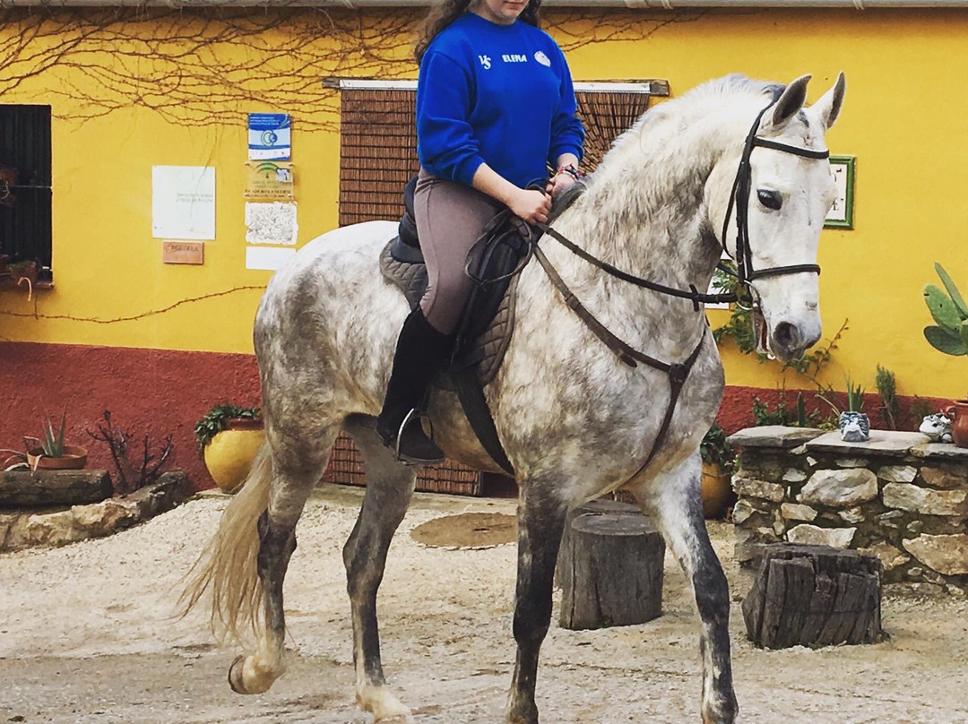 Finca la Suerte. Picadero La Suerte-Galaroza必去景点