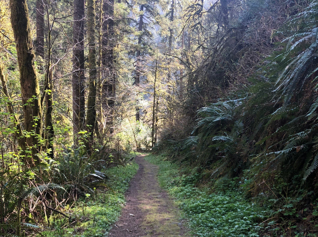 Golden and Silver Falls State Natural Area景点图片