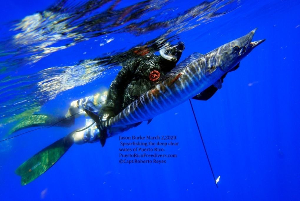 Puerto Rico Freedivers and Spearfishing Charters-圣胡安必去景点