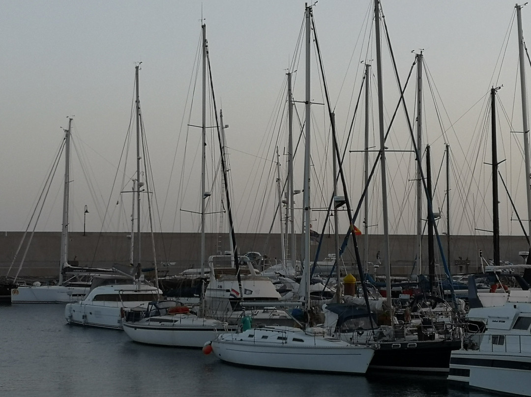 Marina Amarilla Golf-圣米格尔德亚沃纳必去景点