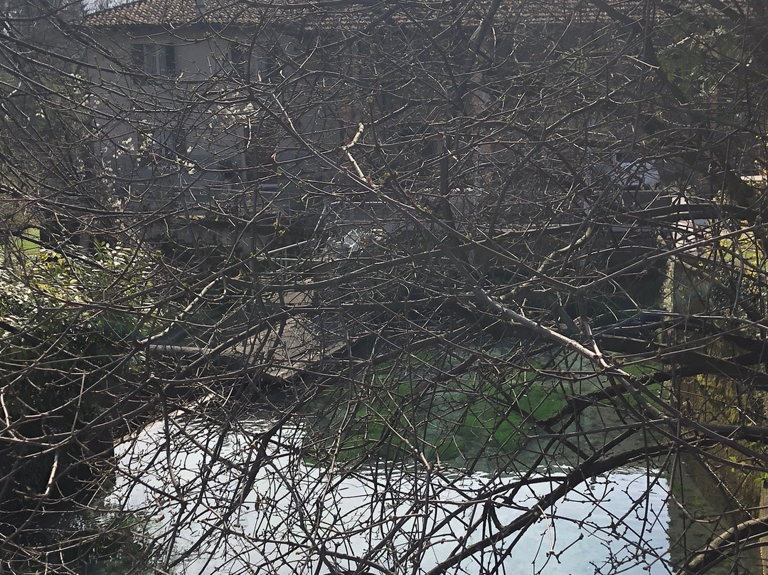 Rio Bujon景点图片