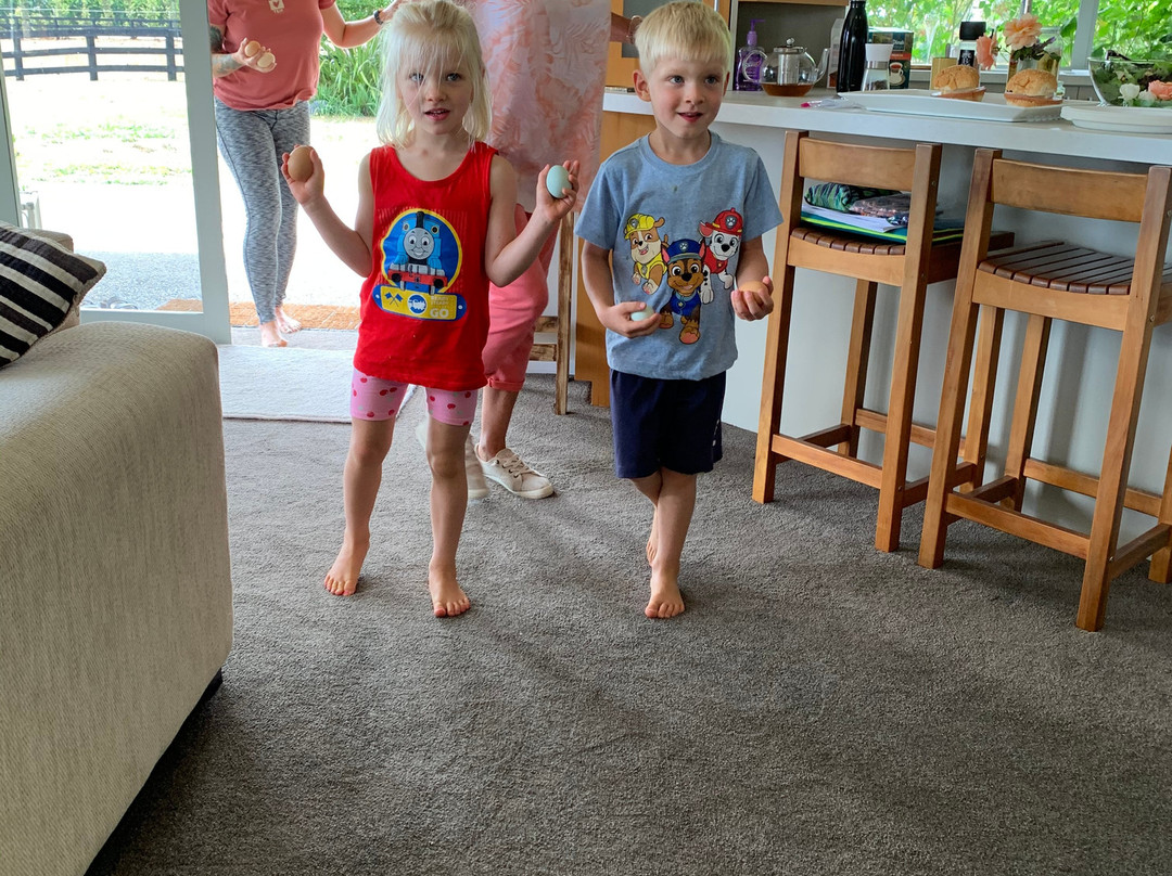 Amberfields Bed & Breakfast主图