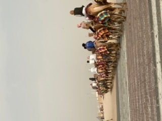 Al Shahaniya Racetrack-Ash-Shahaniyah必去景点