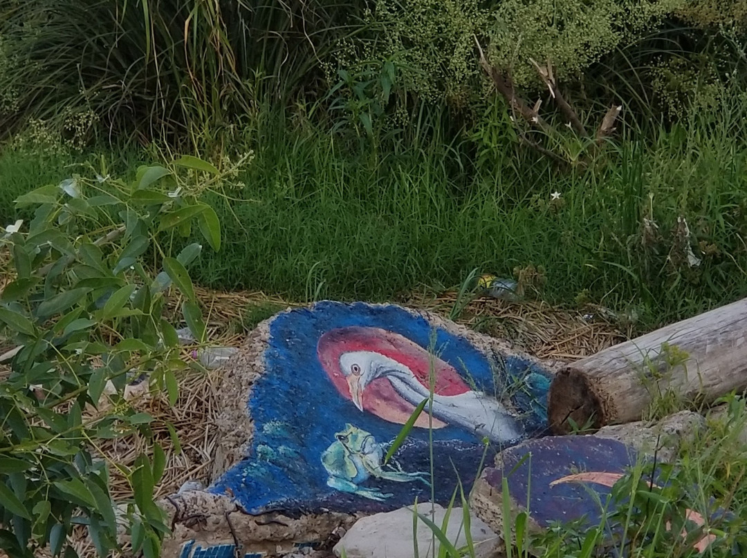 Aguila Grande Fuera del Tiempo Park-圣伊西德罗必去景点