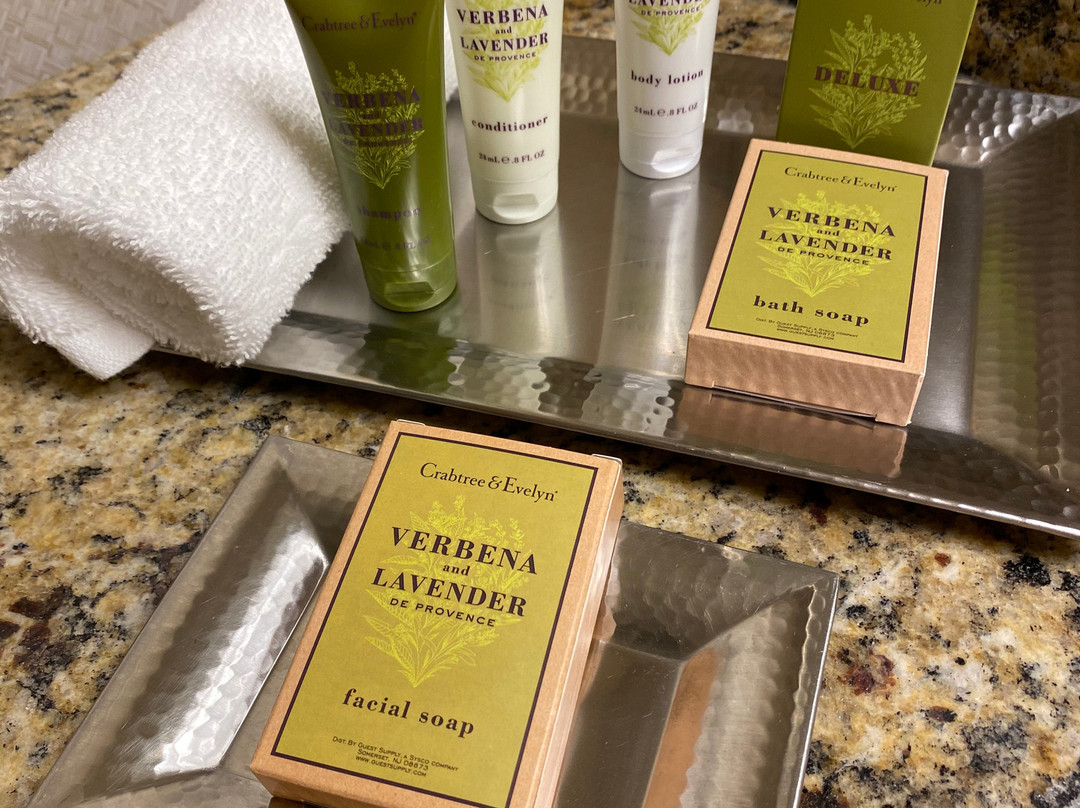 希尔顿纽约肯尼迪机场酒店主图