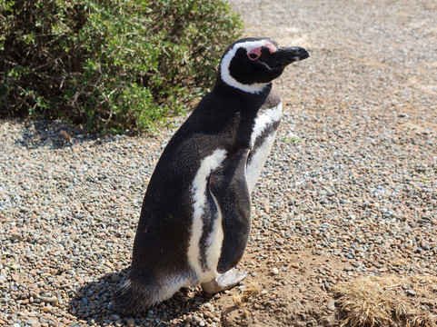 Reserva Natural Estancia San Lorenzo-马德林港必去景点