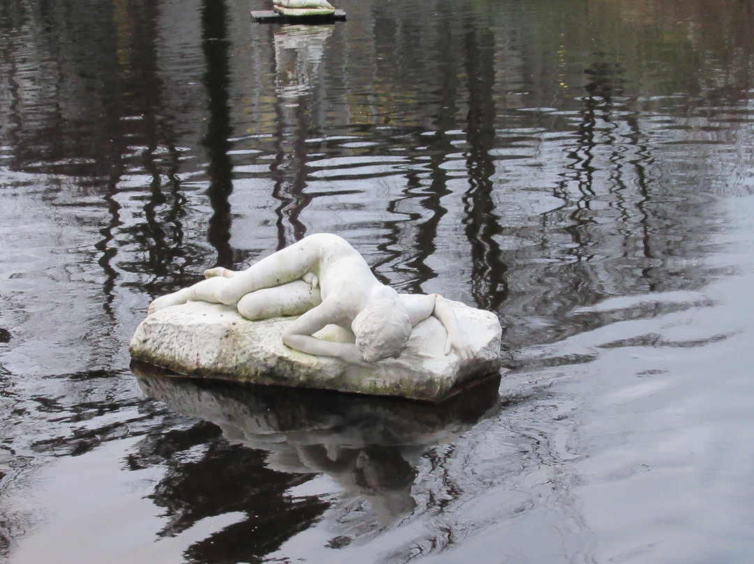Narcisse