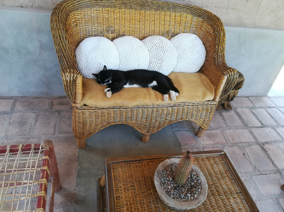 Paso de los Patos主图