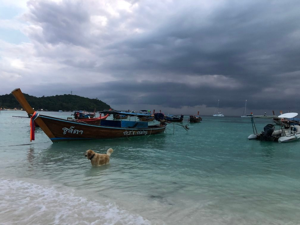 Lipe Banyan Apartments主图