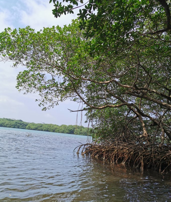 Catemaco Lake景点图片