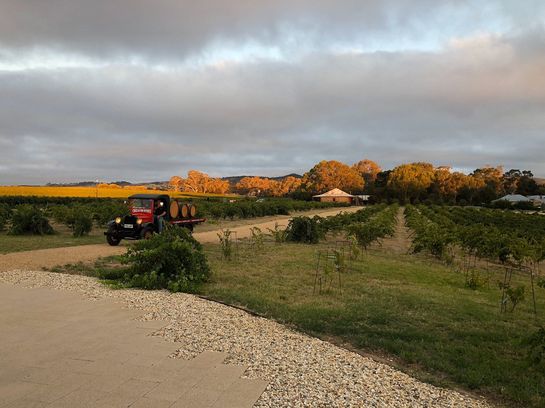 St Hugo Wines (Experience)-Rowland Flat必去景点