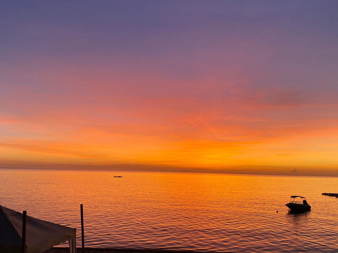 The Beach House主图