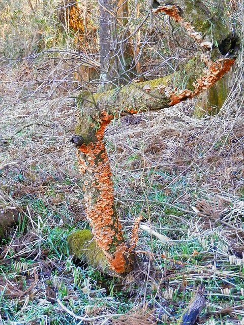 Nasu Fudoki No Oka Shiryokan-那珂川町必去景点