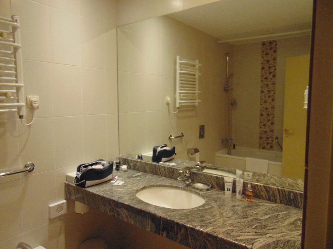 Artis Centrum Hotels主图