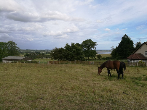 Killowen Distillery-Killowen必去景点