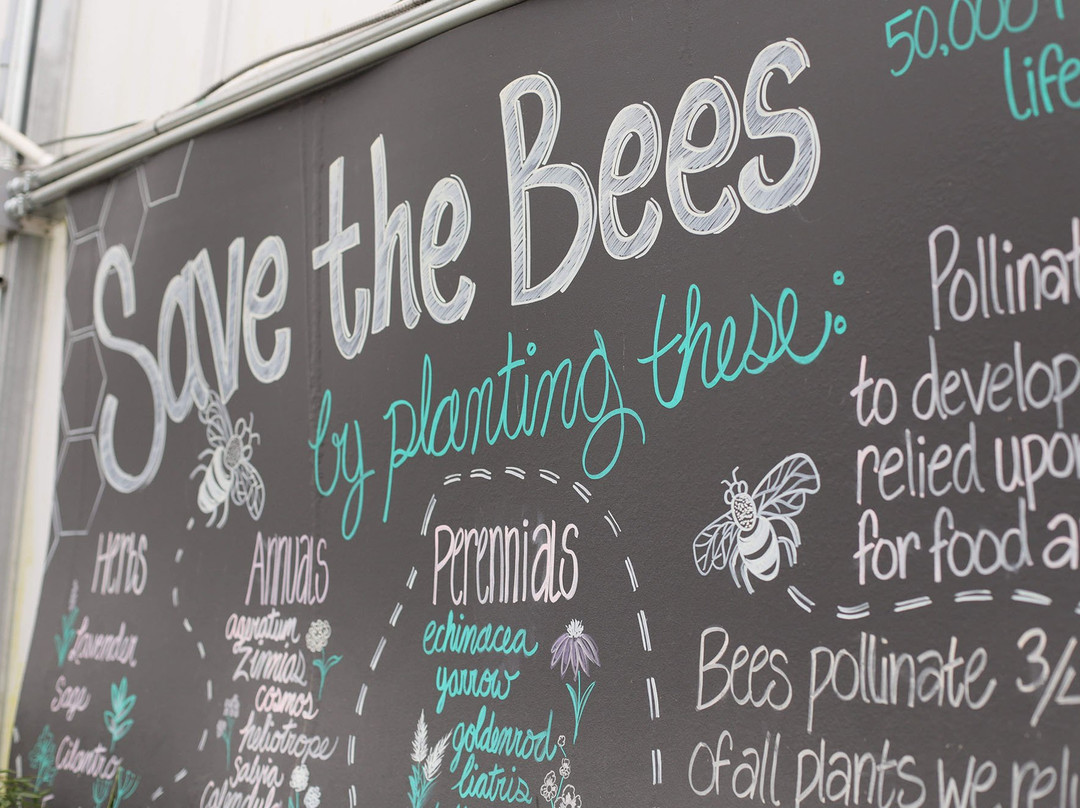 Colonial Gardens-Blue Springs必去景点