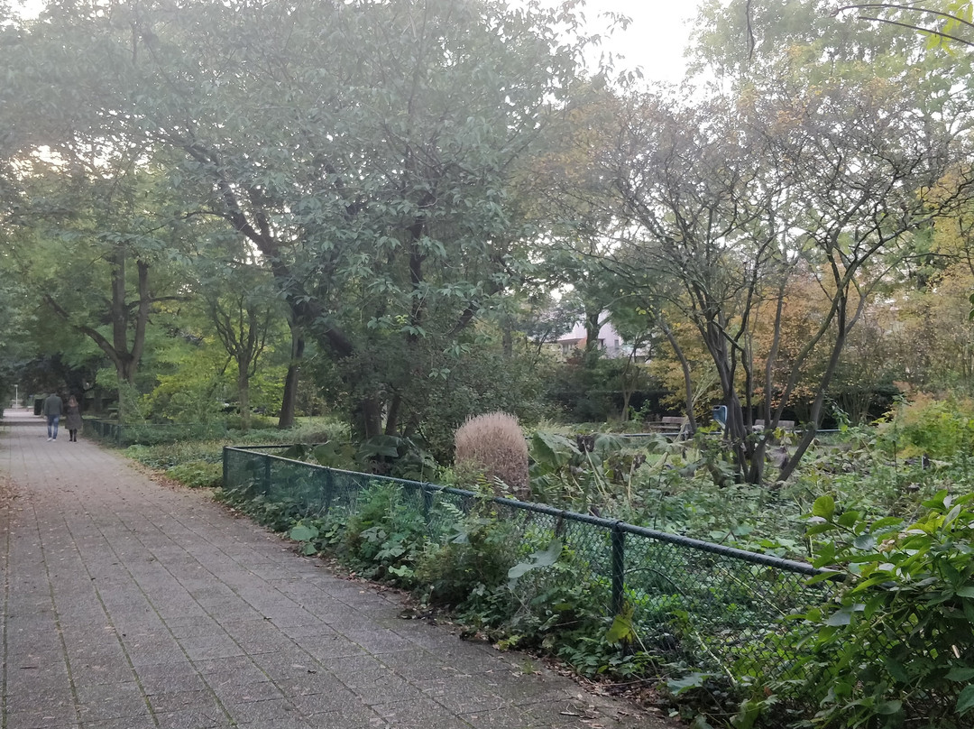 Gijsbrecht Aemstelpark-阿姆斯特丹必去景点