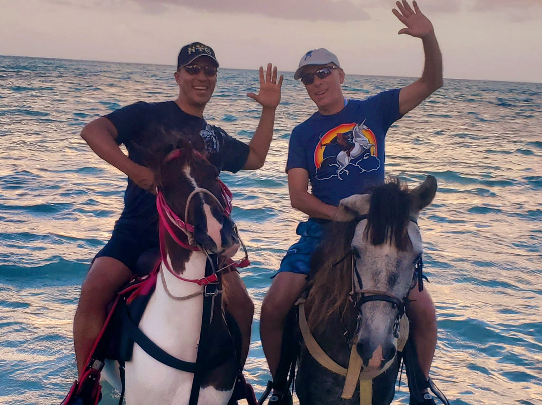 Island Routes-普罗维登西亚莱斯必去景点