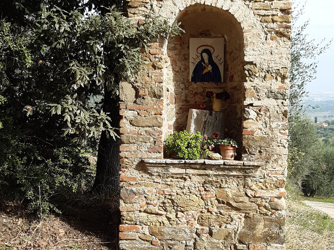 Chiesa San Lorenzo景点图片