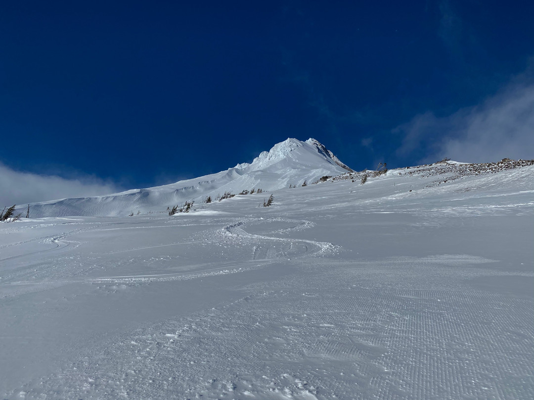 Sea to Summit Tours & Adventures-波特兰必去景点