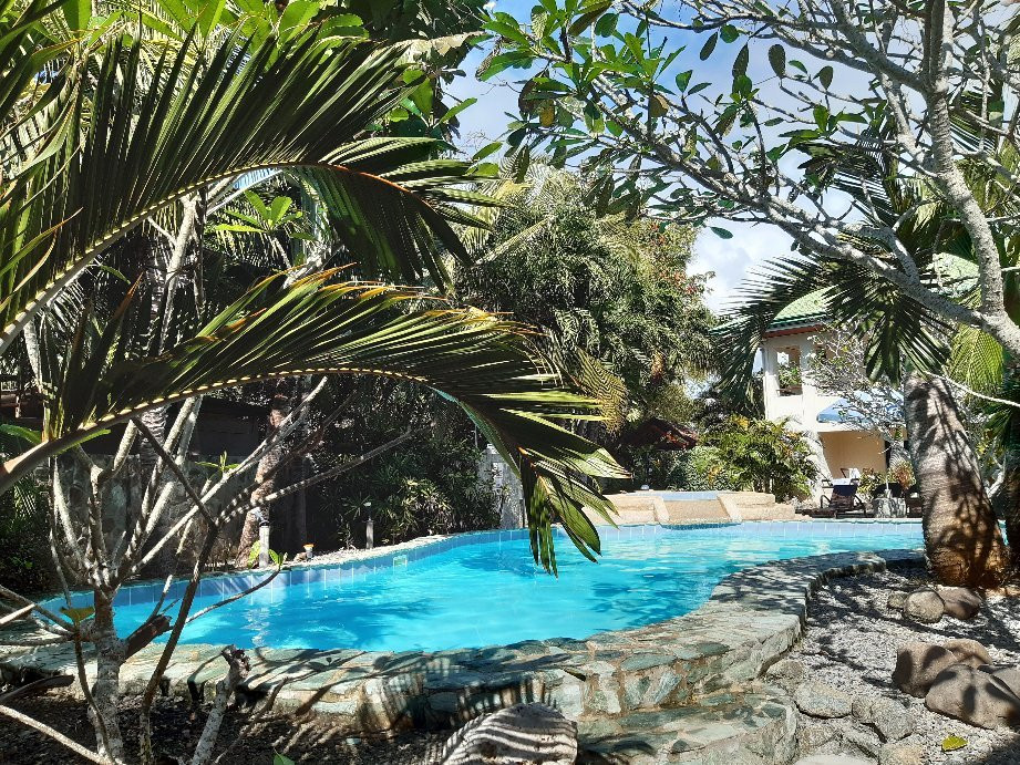 阿罗那瑞士度假酒店主图