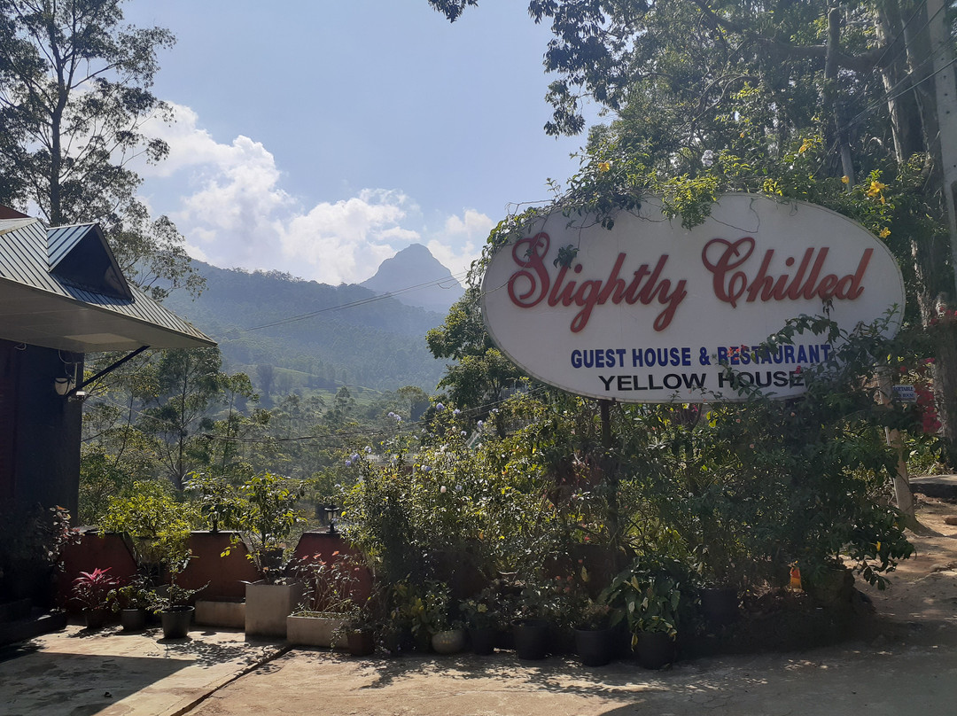 Slightly Chilled主图