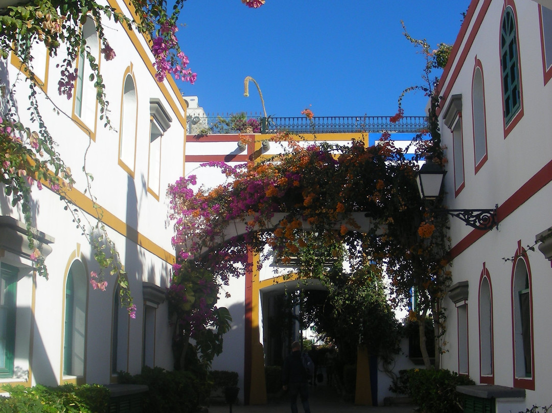 Barranco de Mogan景点图片