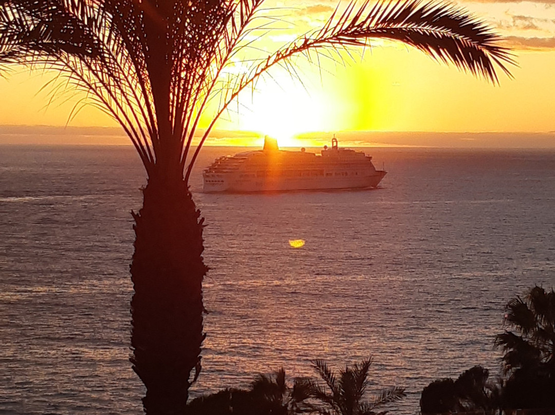 Pestana Grand Premium Ocean Resort主图