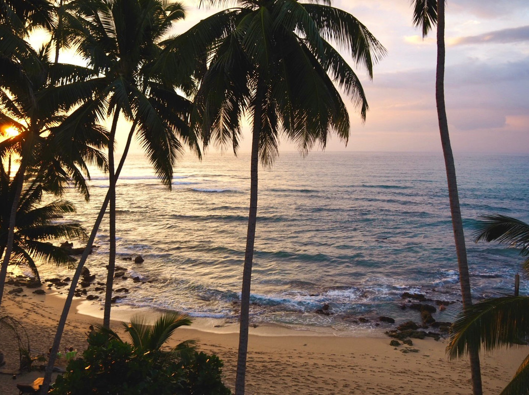 Cool Beach Hotel主图