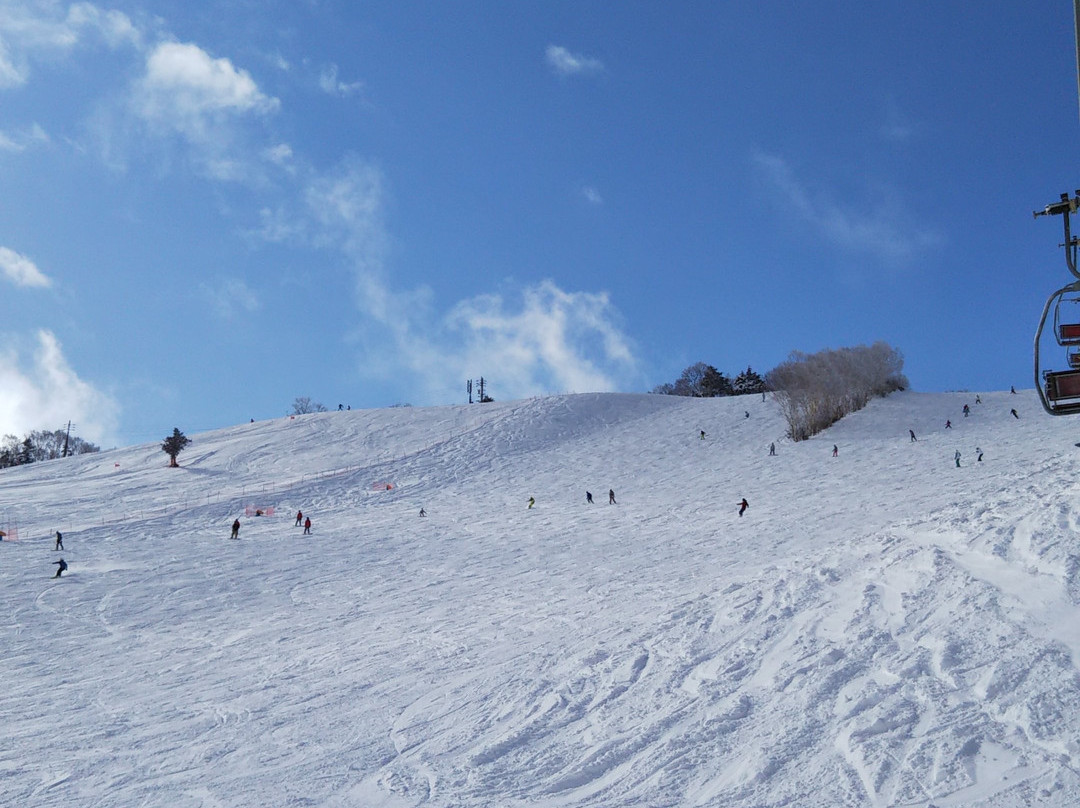 Ichinose Diamond Ski Resort景点图片