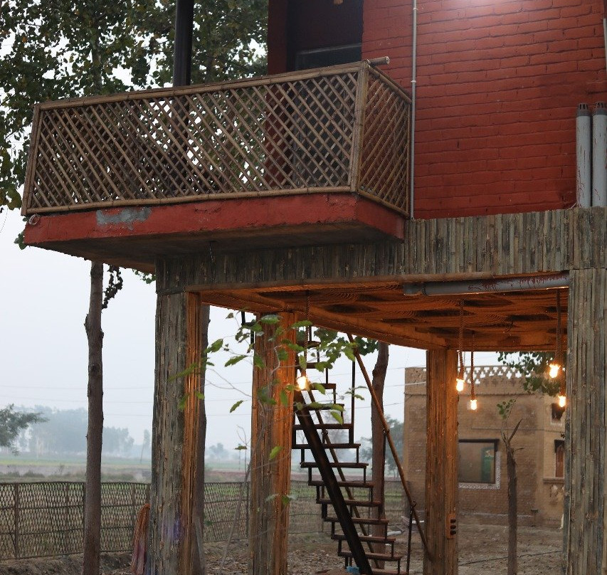 Chahal Tree Farm House主图