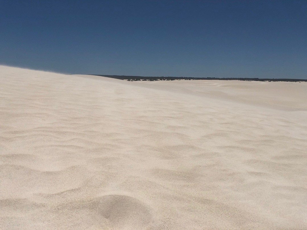 Lancelin Sand Dunes景点图片