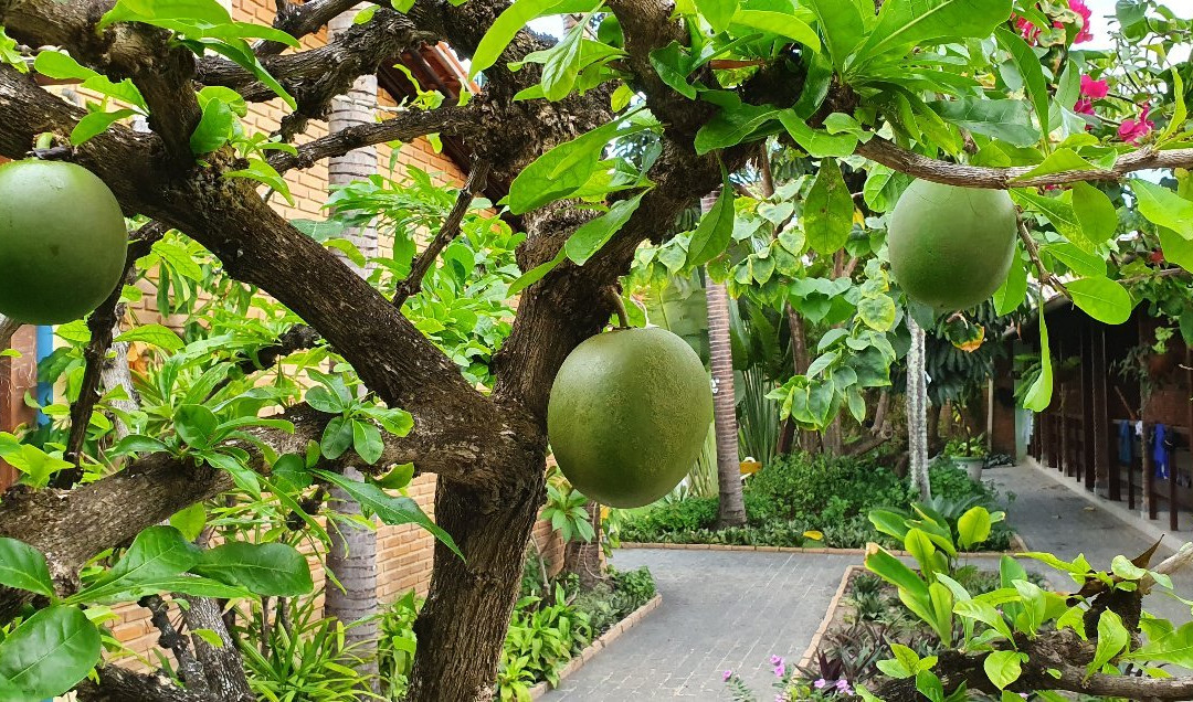 Pousada Aconchego主图