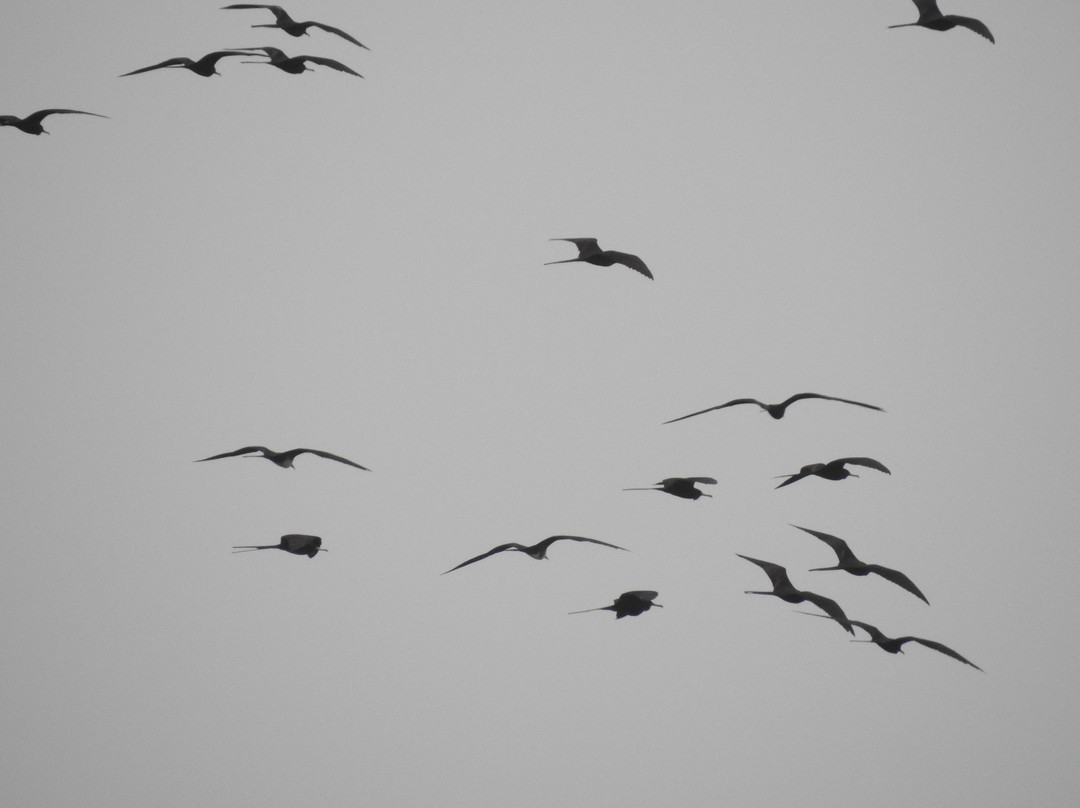 Capt Hirams Resort主图