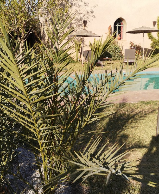 Le Jardin Des Epices主图