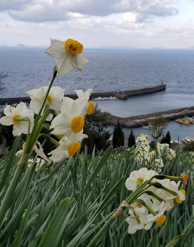 Nihon Suisen Hanakaido-伊矛市必去景点