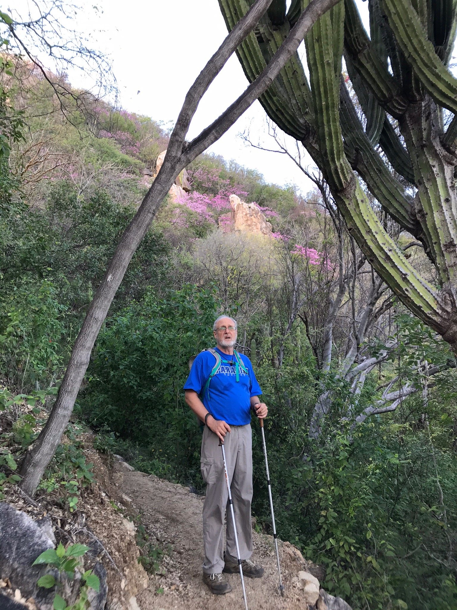 El Pedregal - Hotel en la Naturaleza-官方