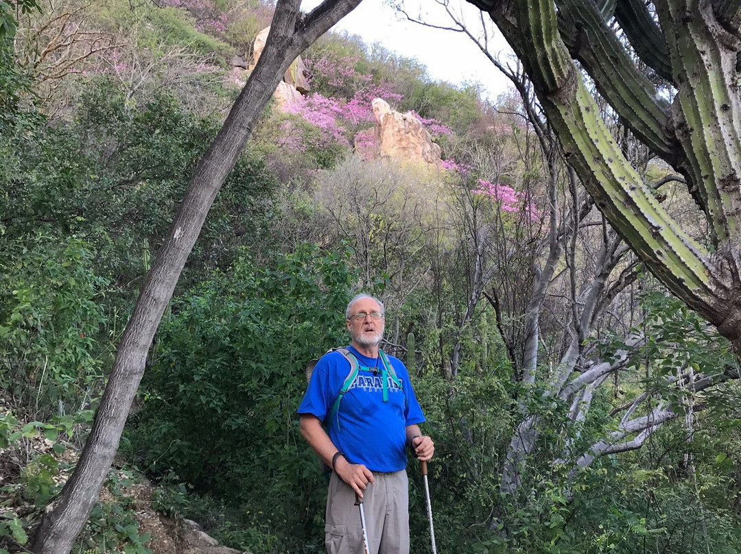 El Pedregal - Hotel en la Naturaleza主图
