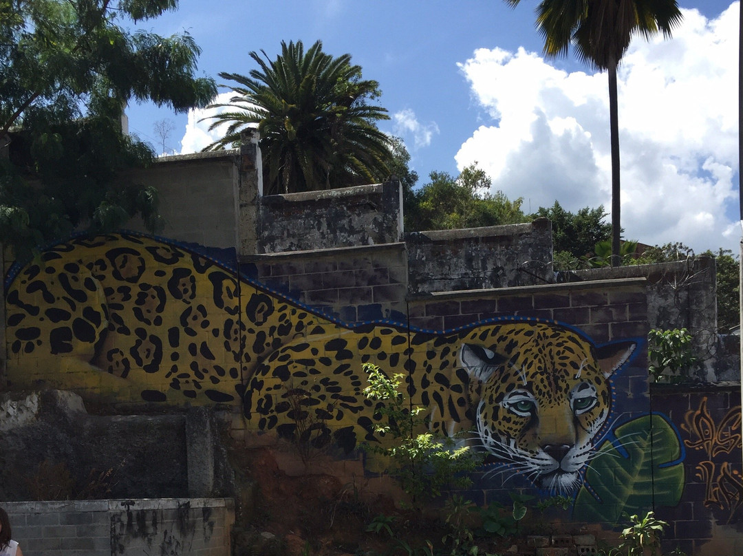 GraffitourC13-麦德林必去景点