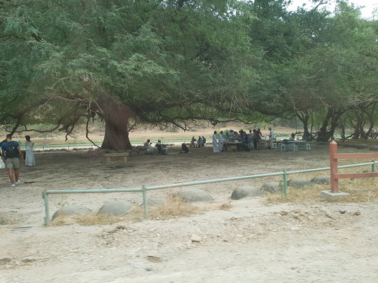 Salalahexcursions-塞拉莱必去景点