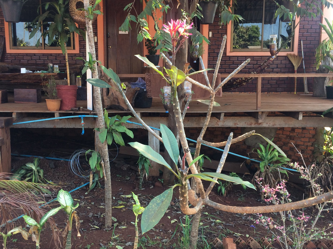 Family House & trekking Homestay主图