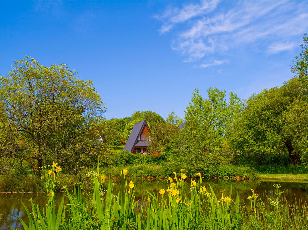 Forda Lodges & Cottages
