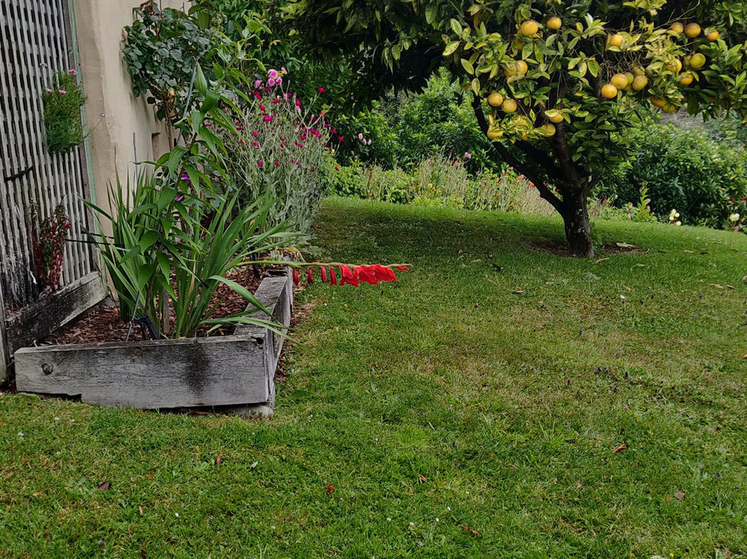 Ngatimoti旅游攻略图片